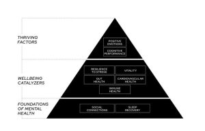 The Three Layers of the Watershed Framework - Life Reset - Clinique La Prairie